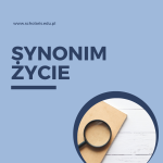 życie synonim